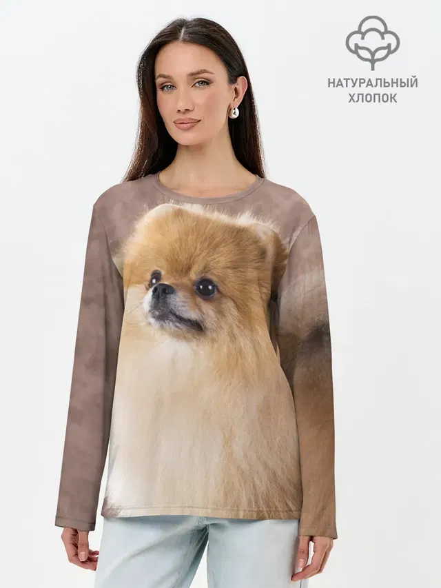 Шпитс