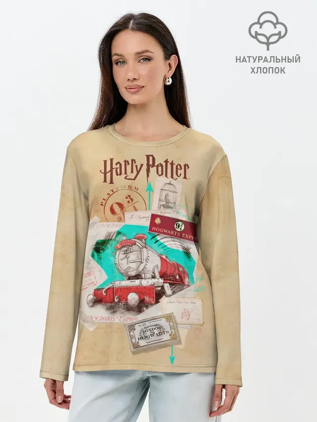 Harry Potter Hogwarts Express