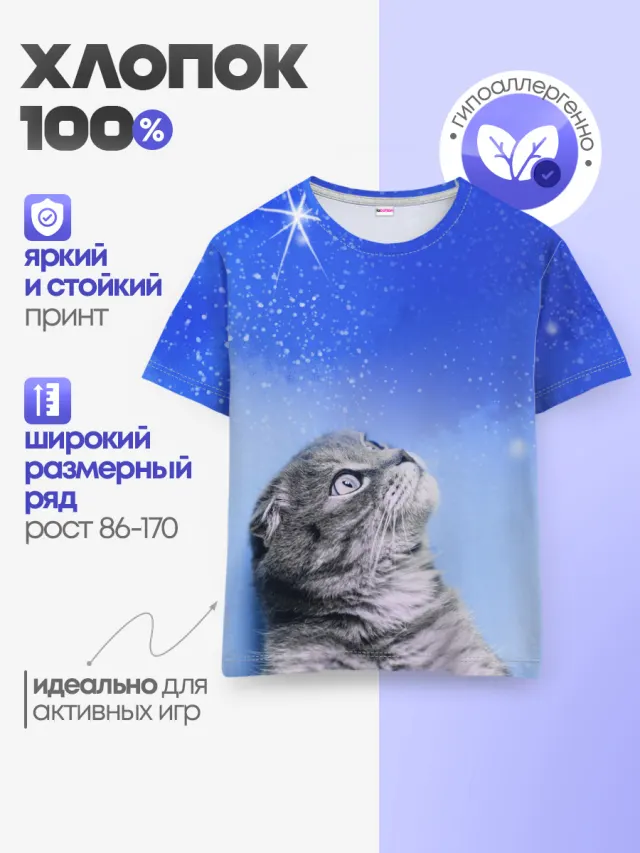 Кот и космос