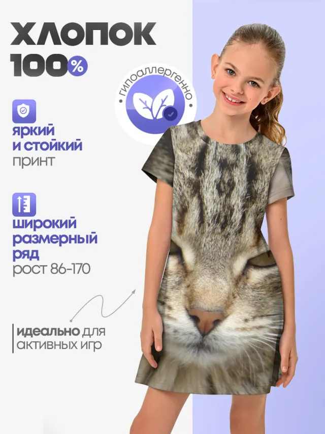 Кот