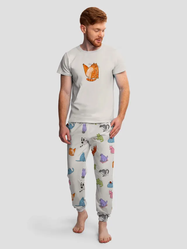 Cats