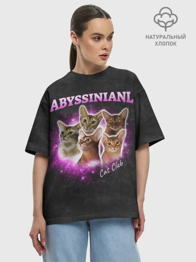 Абиссинская кошка 