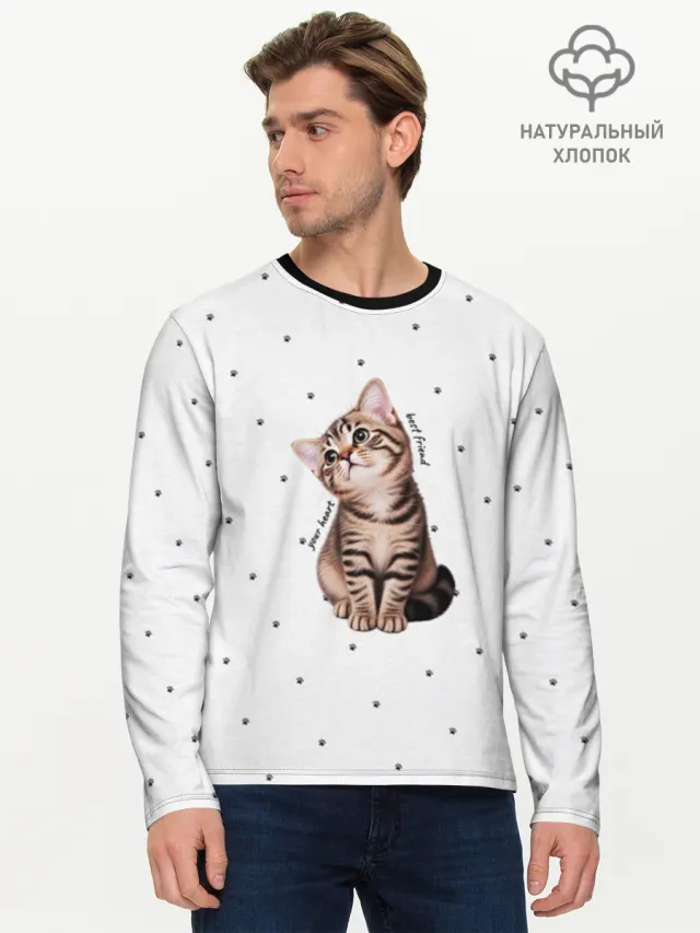 кошки