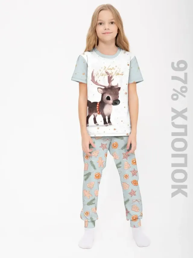 S001 NYDeer