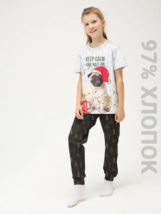 S001 NYPug
