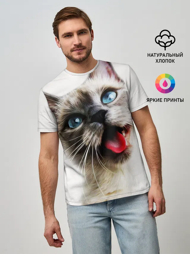 Котик