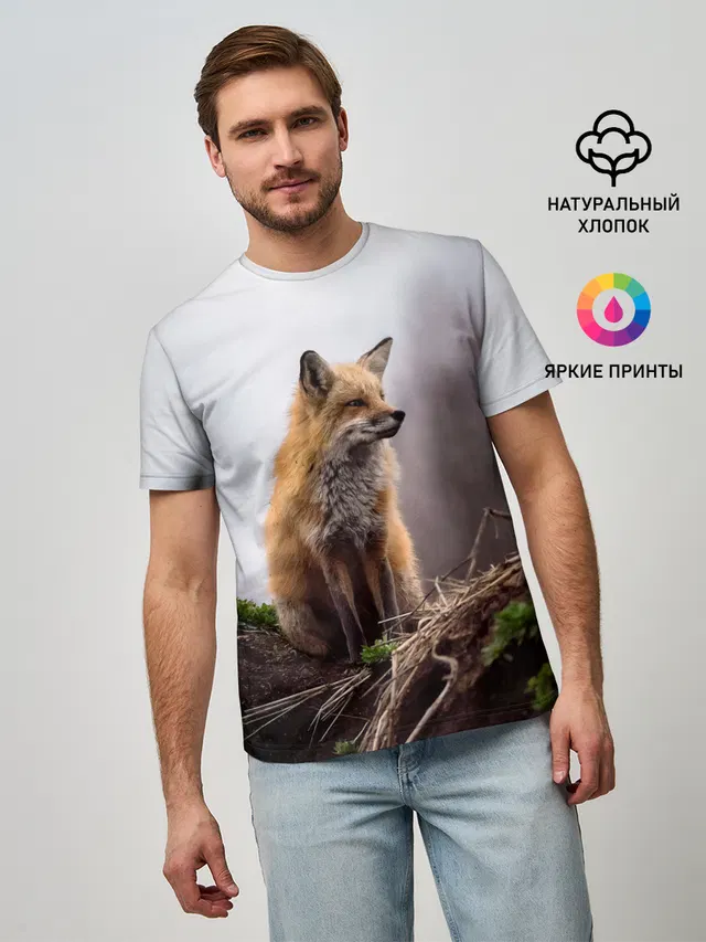 Лиса