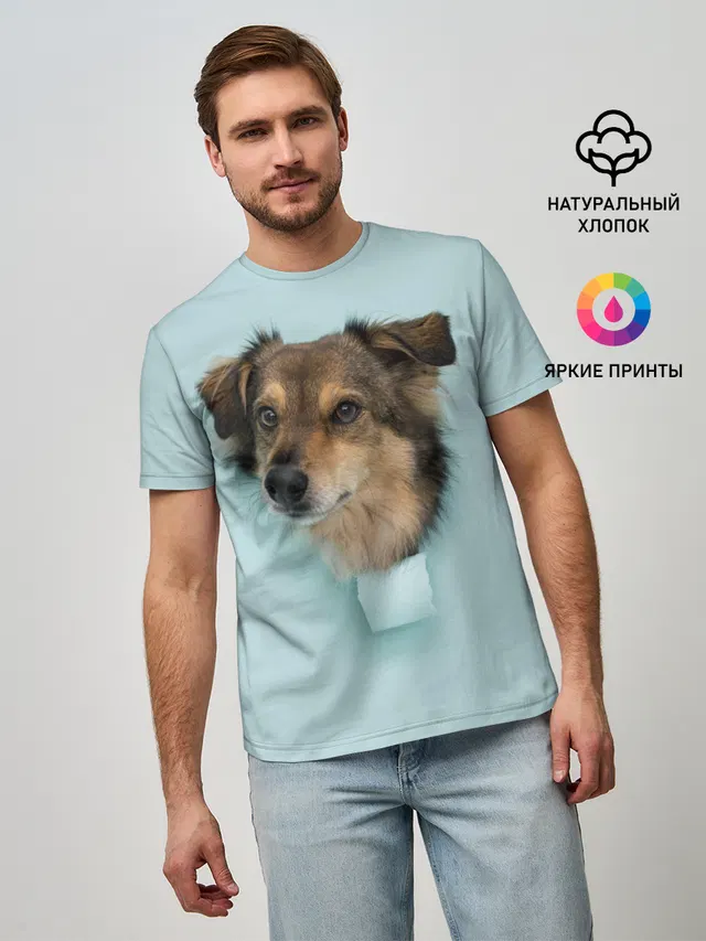 Беспородная Собака дворняга / A Dog