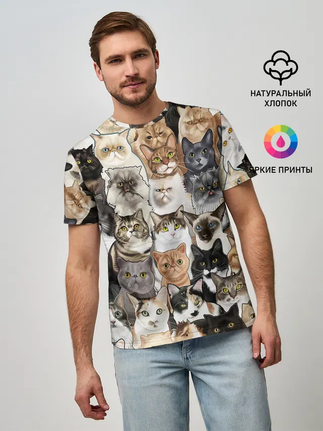 Котики смешные