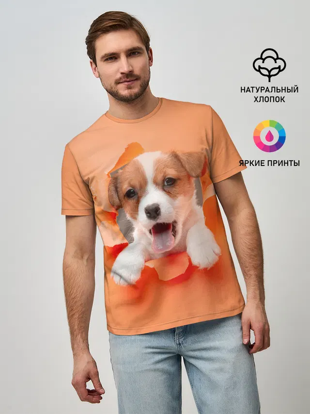 Собака