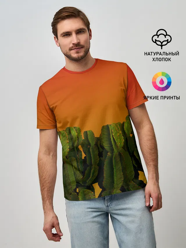 Кактусы на закате