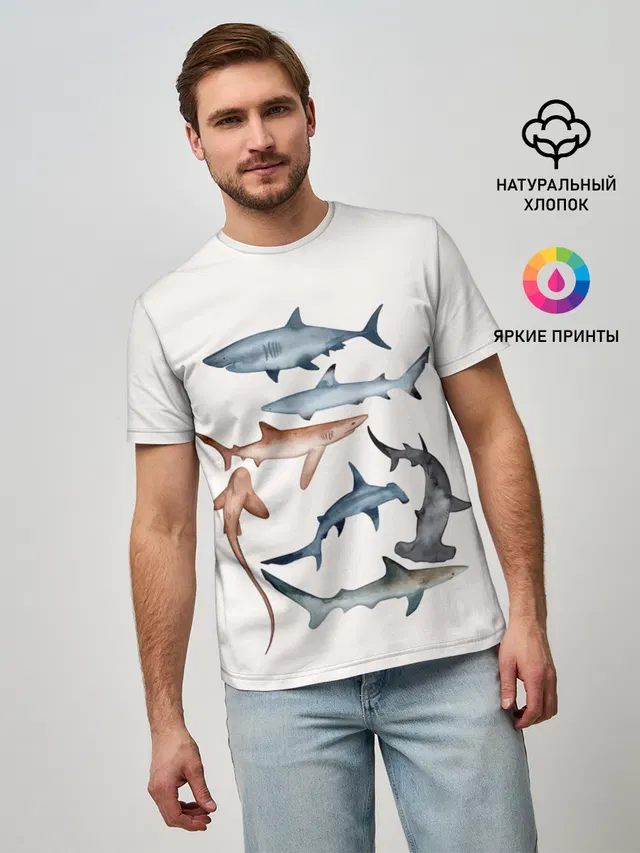 акулы