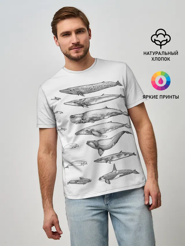 киты графика