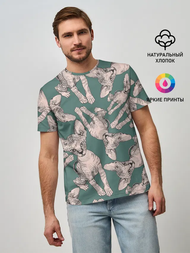 Котёнок сфинкса