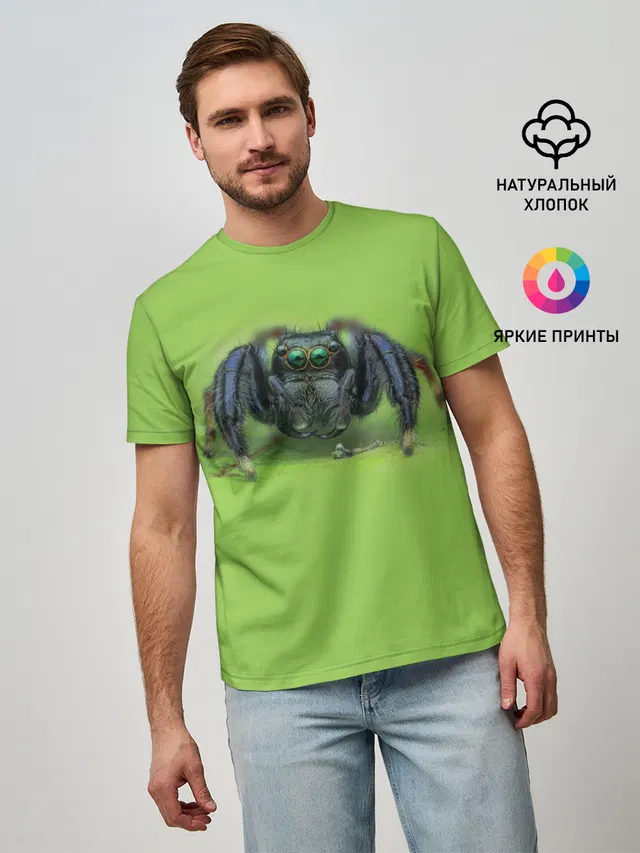 ПАУК С ГЛАЗКАМИ