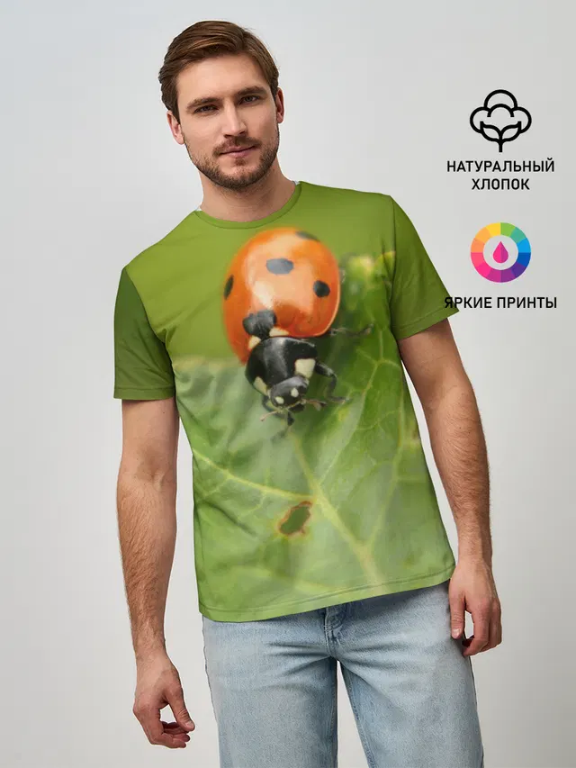 Божья коровка
