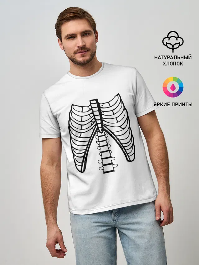 ребра скелета