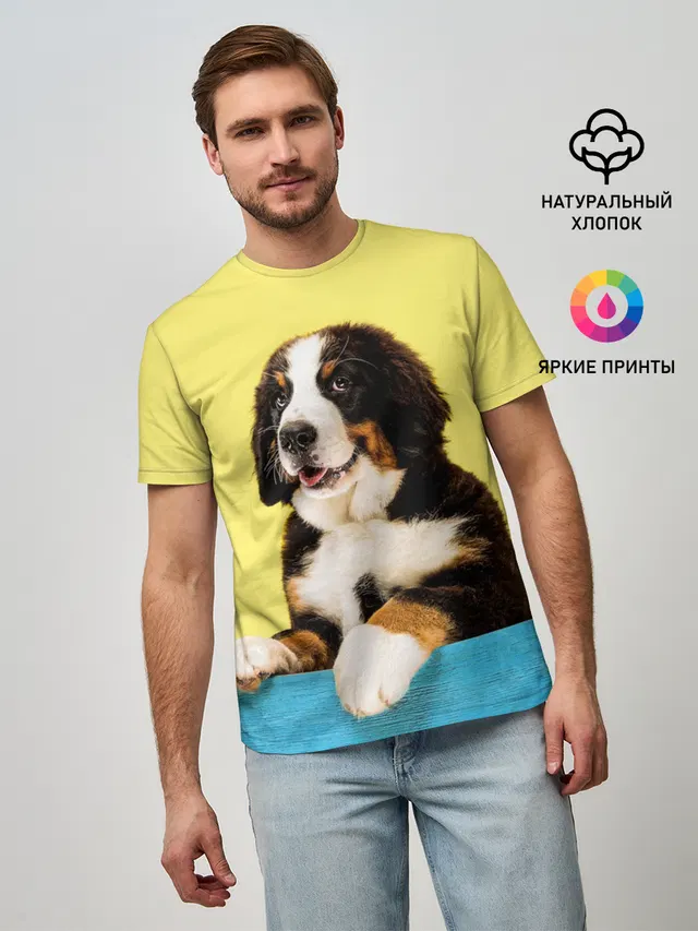 Бернский зенненхунд, Berner Sennenhund