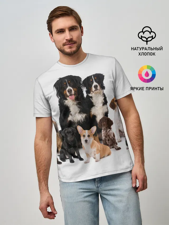 Породистые собаки