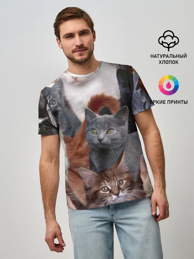 Много котов