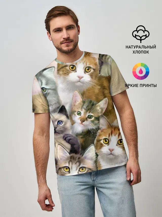 Котишики