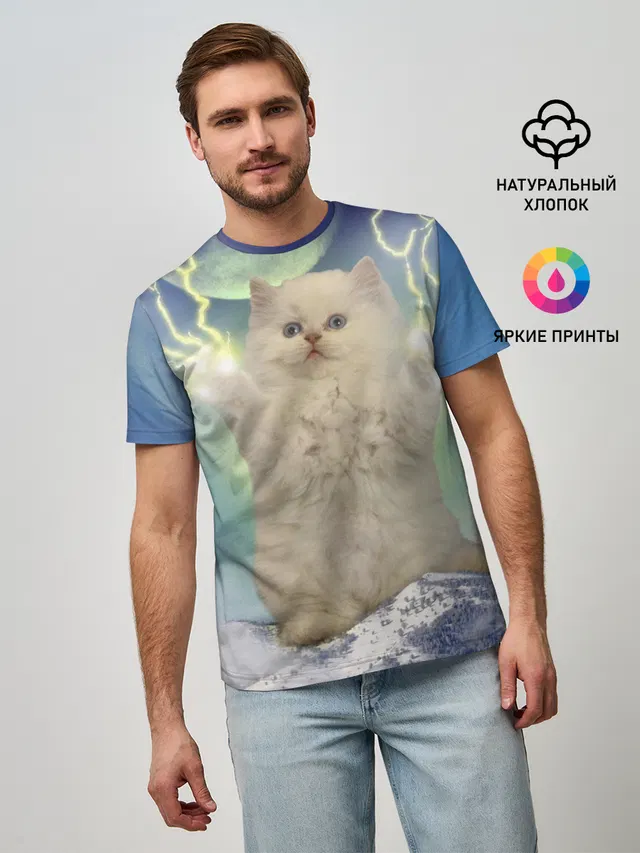 Грозовой Котик