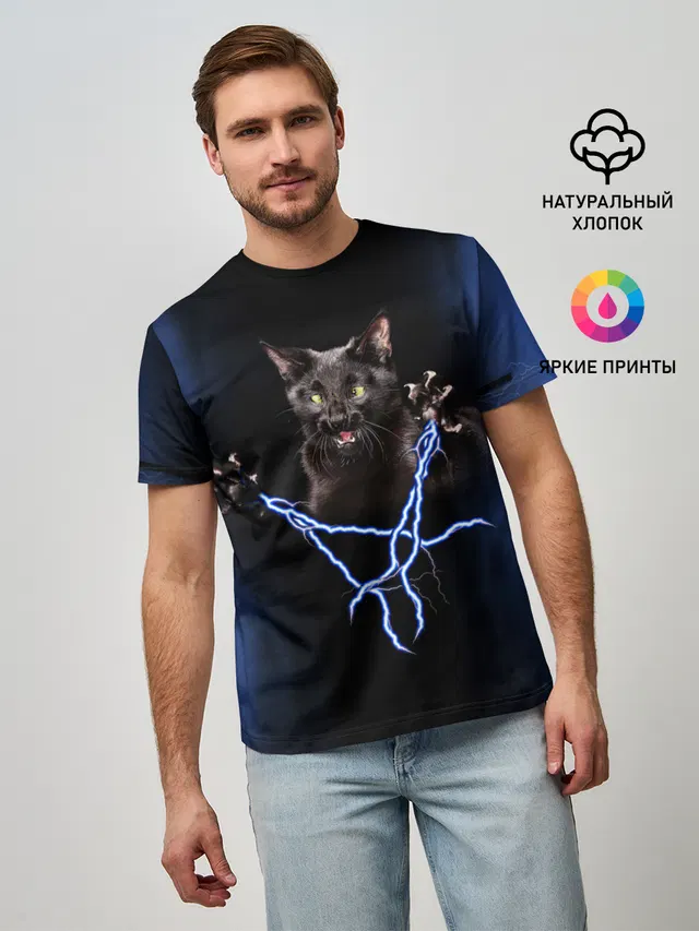 Грозовой кошак