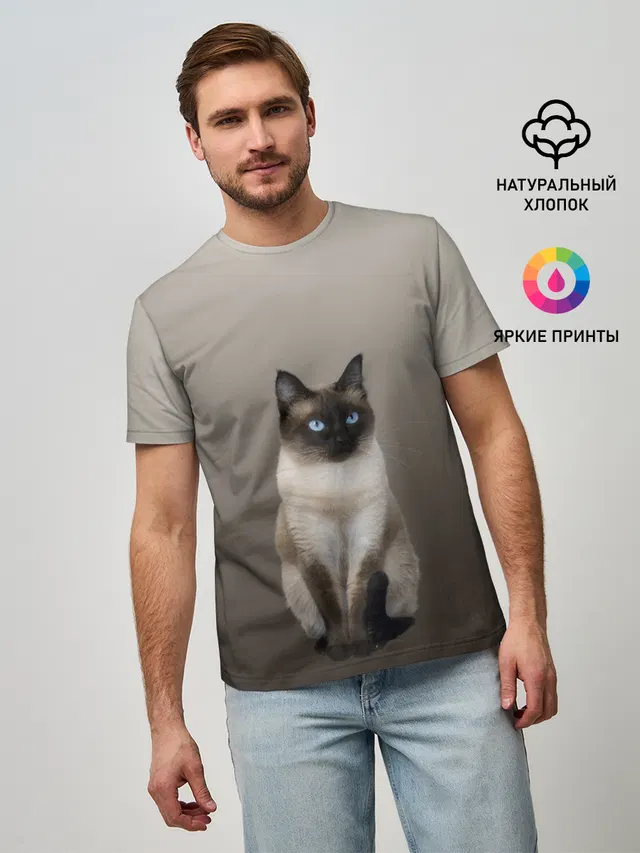Сиамский кот голубые глаза