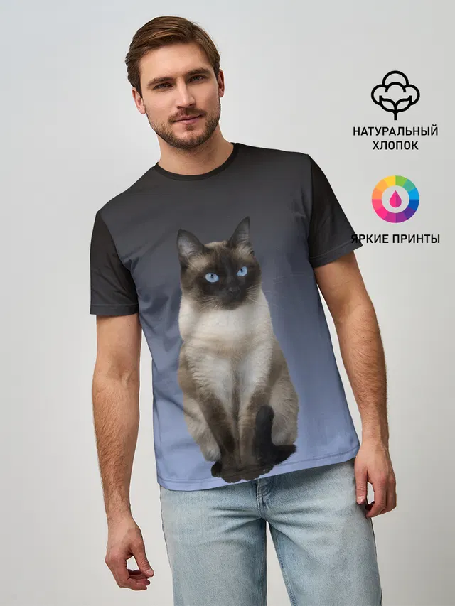 сиамская милая кошечка