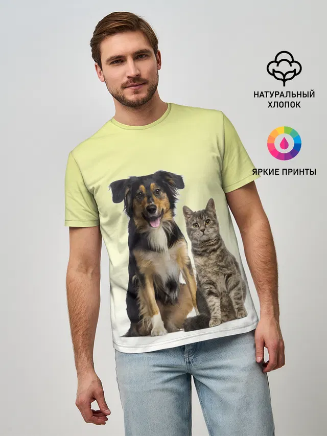 кошка и собака друзья
