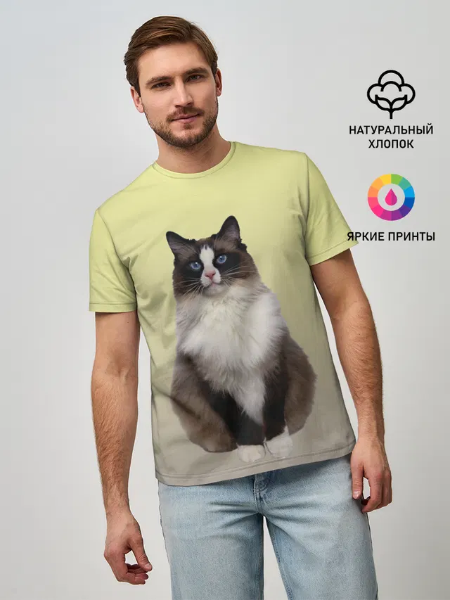 персидская пушистая кошка
