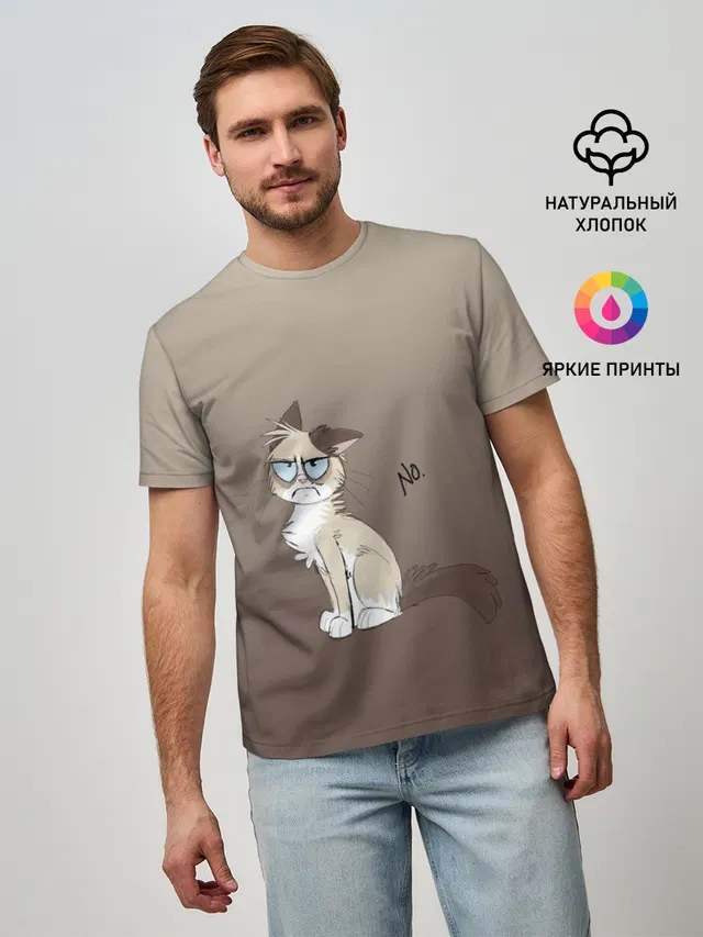 сварливый кот мем нет
