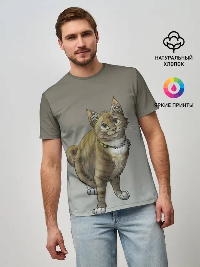 полосатый уличный кот