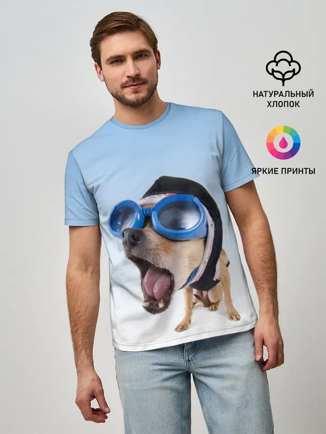 собака в очках