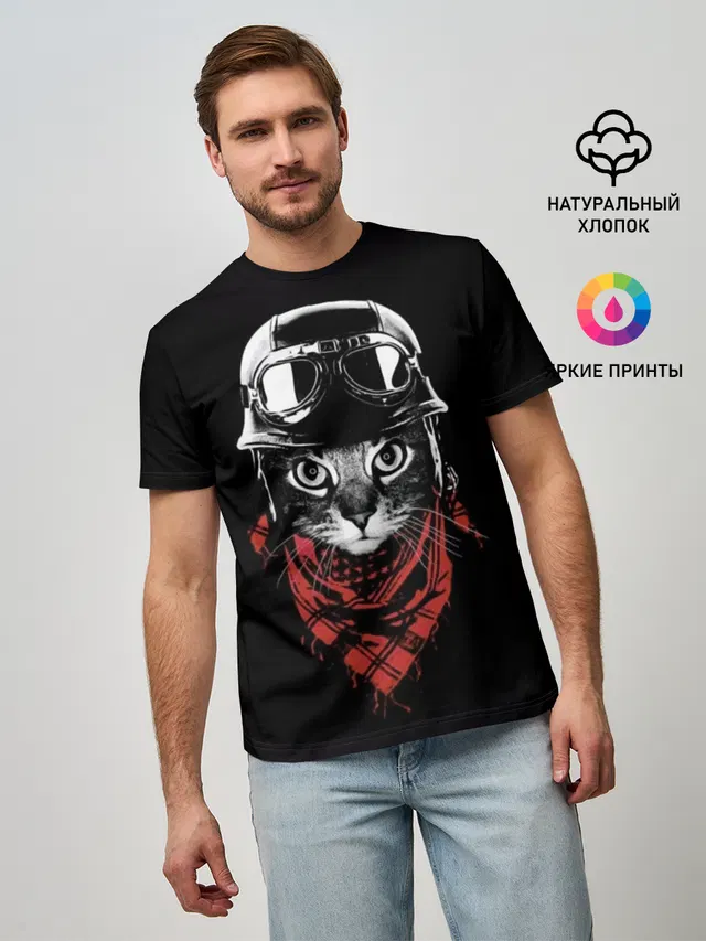 Кот в каске