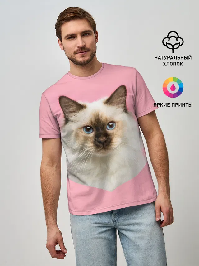 Пушистый кот