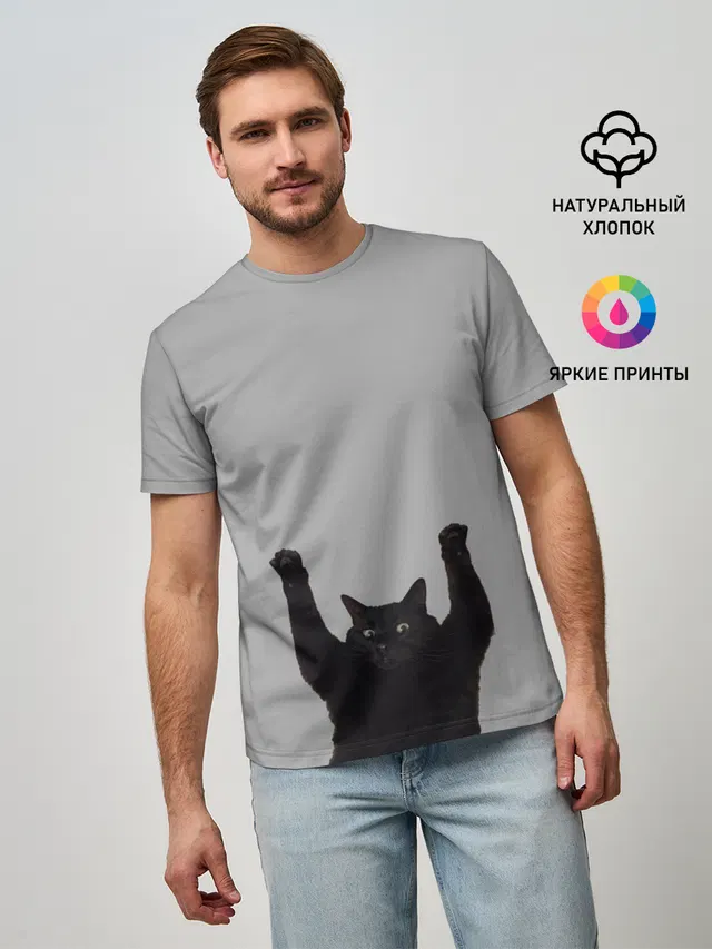 Кот сдается