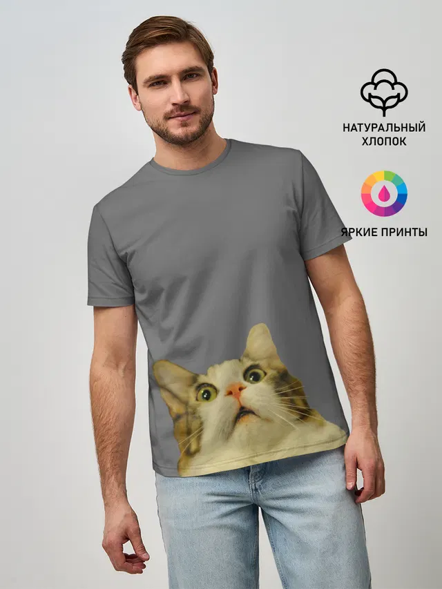 Коте смотрит вверх
