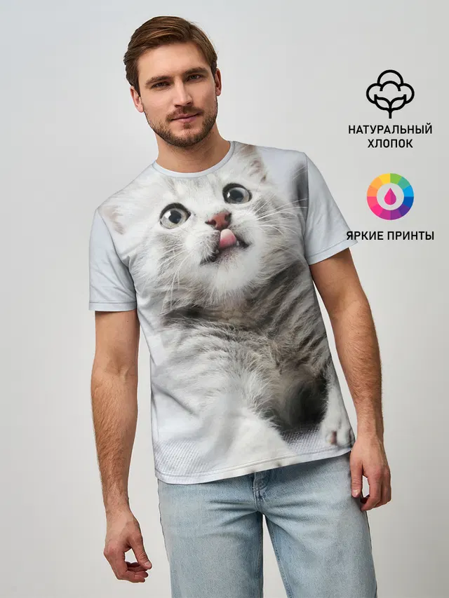 серый котенок