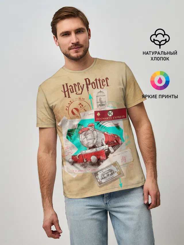 Harry Potter Hogwarts Express