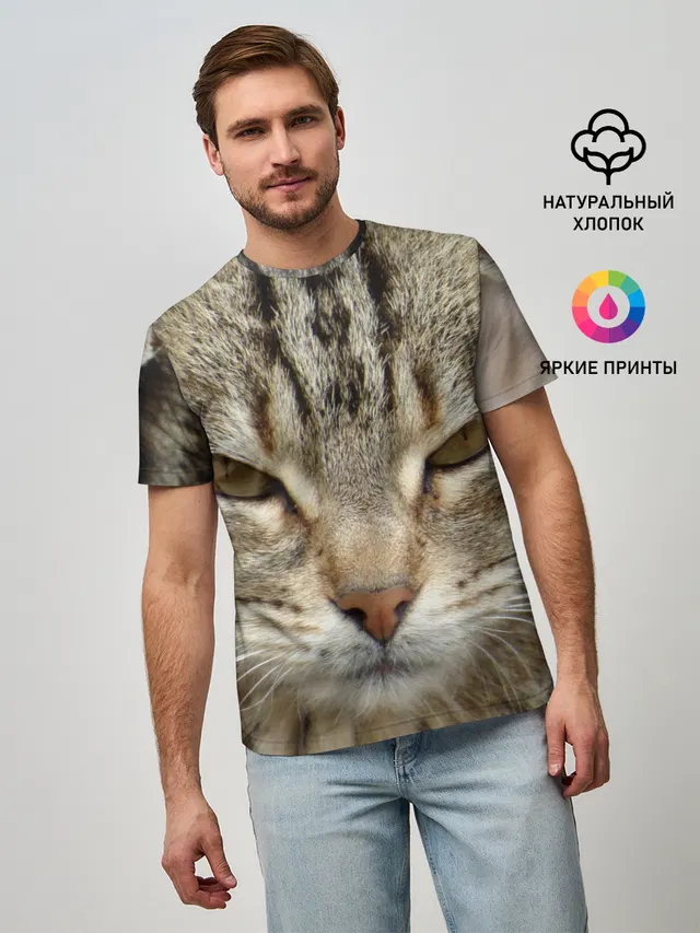 Кот