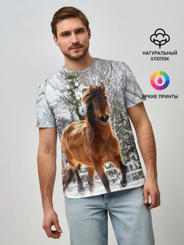 Конь и снег