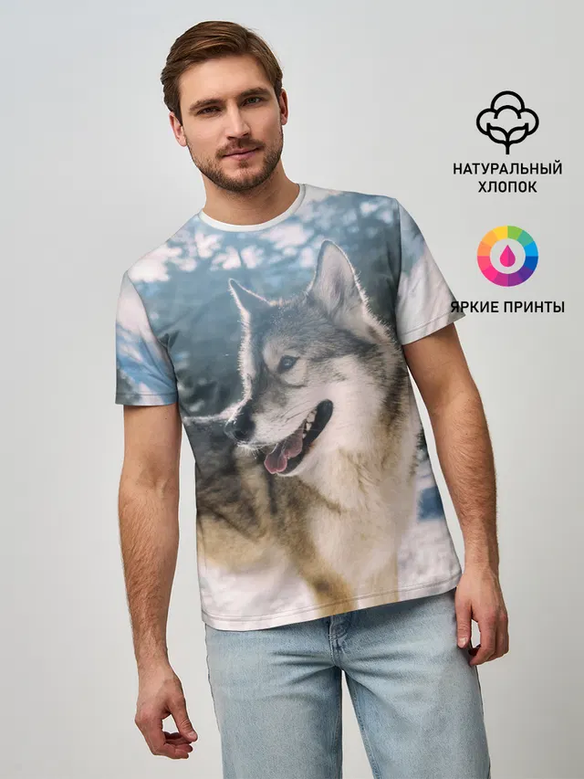 Волк и снег