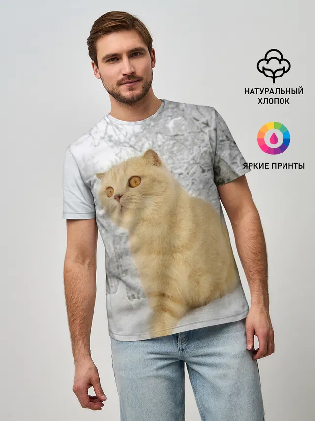 Кот и снег