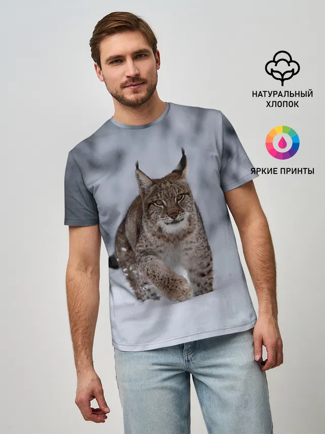 Рысь