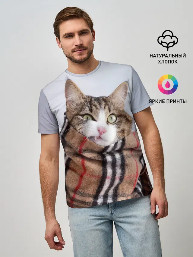 Кот в шарфе
