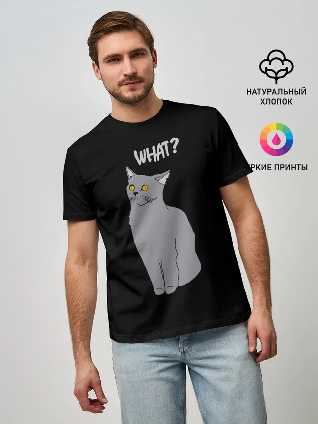 What cat