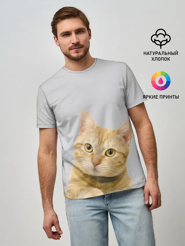 Рыжий котик