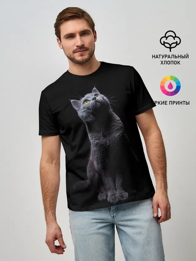Кот Британец