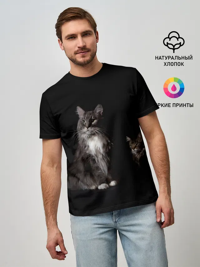 Котики